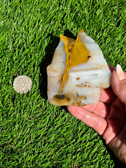 Mascotero Jasper Slabs M618-623