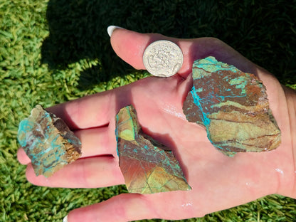 Globe Chrysocolla Slab Bundle-SB59