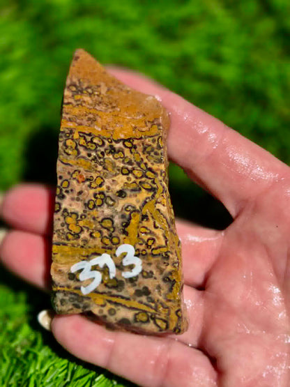 Leopard Skin Jasper Slabs H371-378