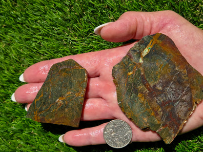 Parker Copper Jasper Slab Bundle SB119