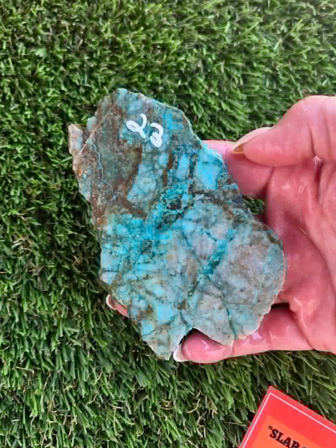 Globe Chrysocolla Slabs A23-26