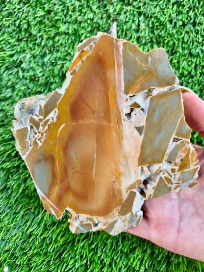 Golden Desert Jasper Slabs H405-408