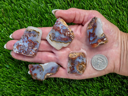 Camp Verde Agate Slab Bundle SB25