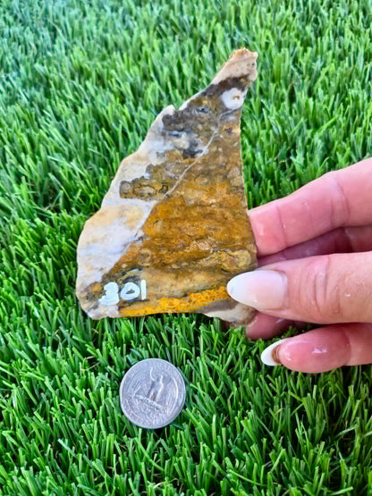 Iron-rich jasper/chalcedony with quartz Slabs F297-301
