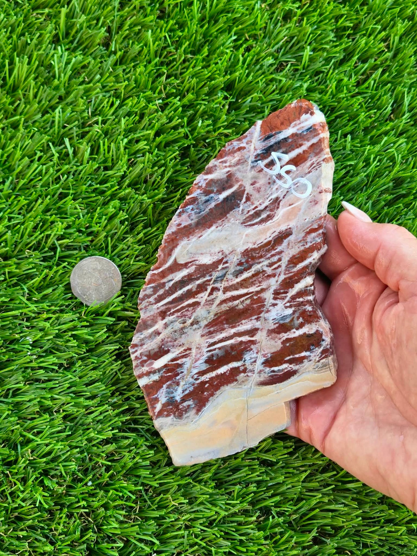 Red Creek Brecciated Jasper Slabs L548-552