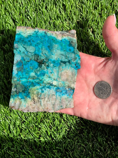 Chrysocolla, Limonite & Tenorite Slabs V975–978