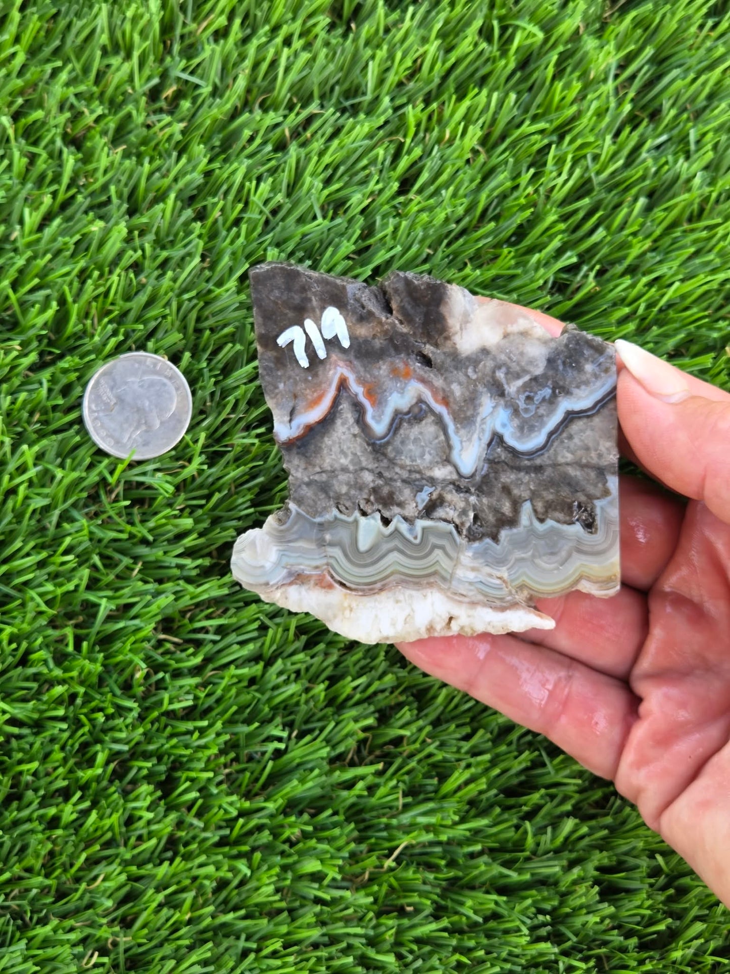 Gray Banded Crazy Lace Agate Slabs O717–723