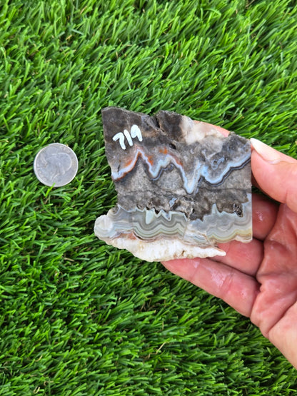 Gray Banded Crazy Lace Agate Slabs O717–723