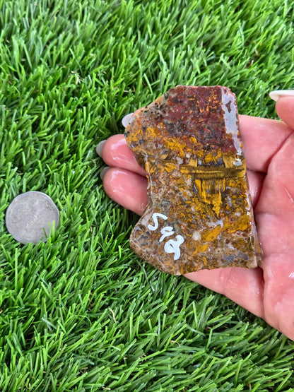 Camp Verde Moss Agate Slabs M591-594