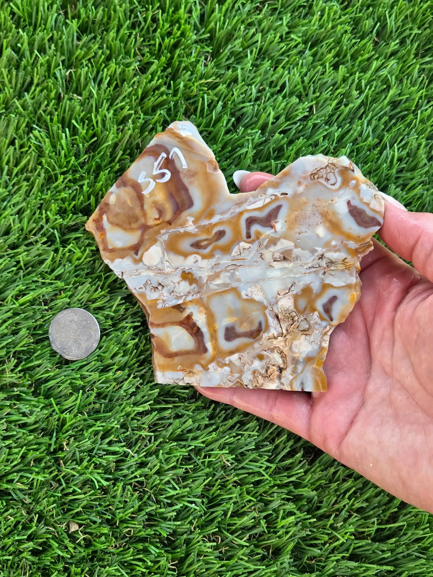 Banded Brecciated Jasper/Agate Slabs L557-562