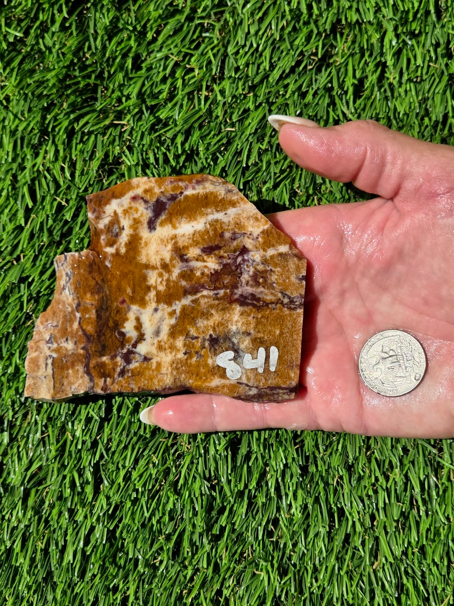 Burro Creek Jasper Slabs R841–847