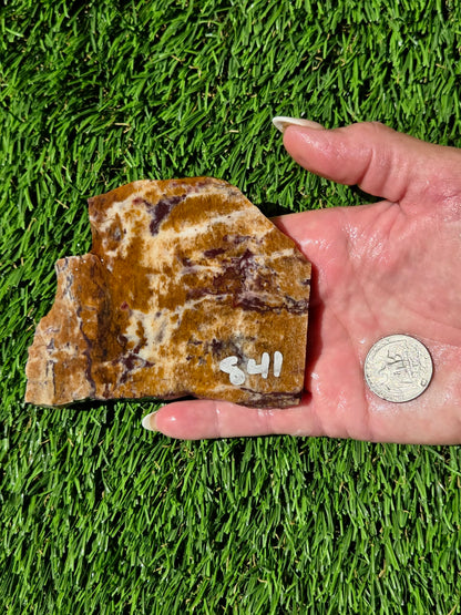 Burro Creek Jasper Slabs R841–847