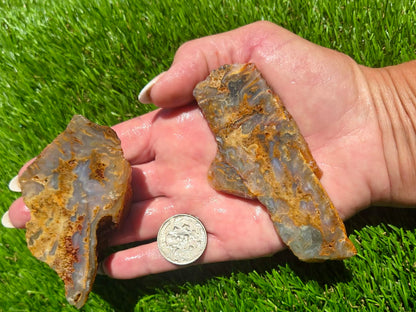 Graveyard Point Agate Slab Bundle – Oregon SB79