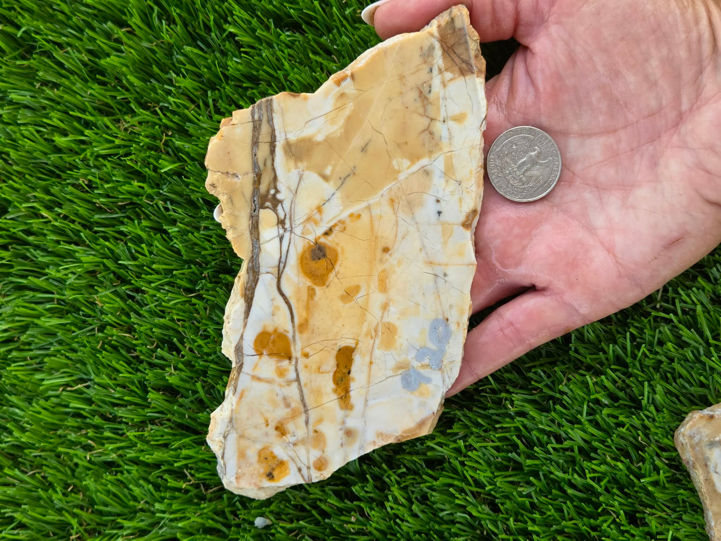 Brecciated Jasper Slabs T917–921