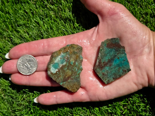 Globe Chrysocolla Slab Bundle-SB81