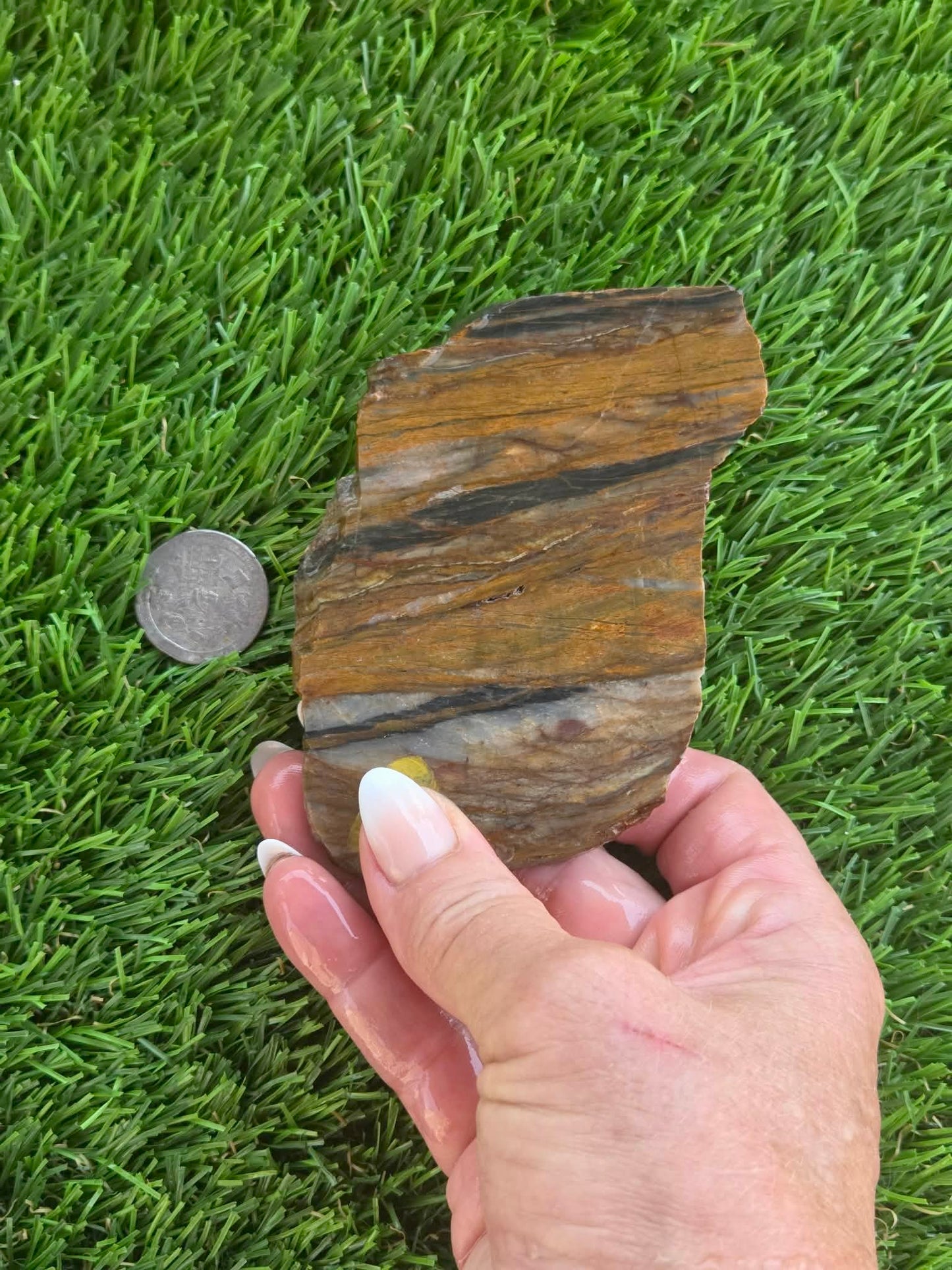 Agatized Petrified Wood Slab I453-458