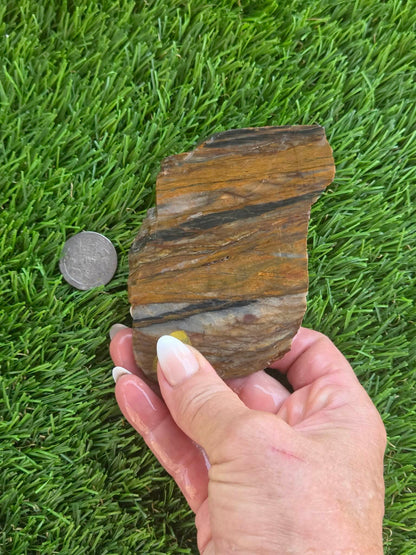 Agatized Petrified Wood Slab I453-458