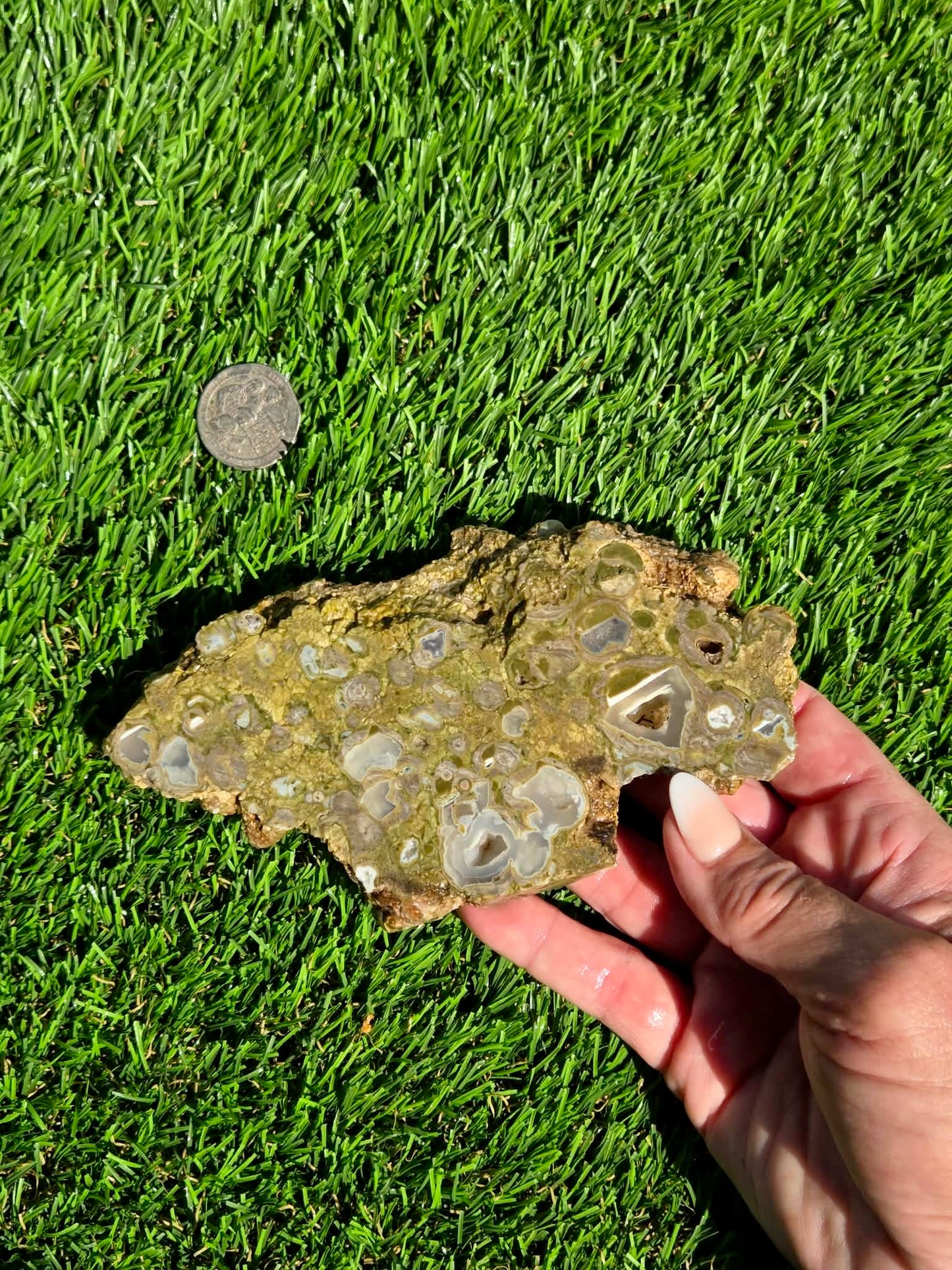 Green Mushroom Rhyolite M630-638