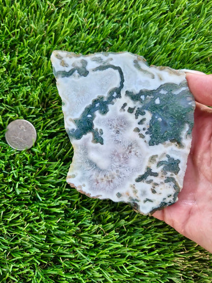 Moss Agate with Crystal Pockets Slabs H366-370