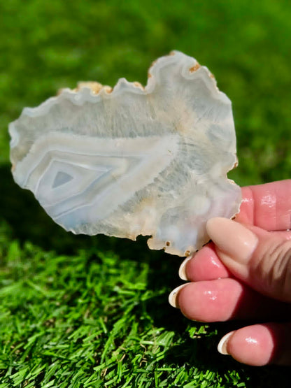 Blue Luna Agate Slabs H385-390