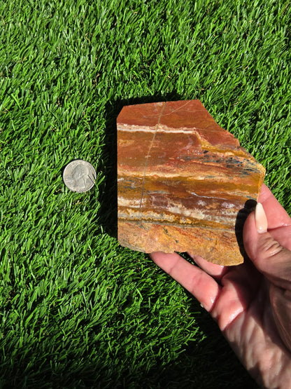 Banded Arizona Jasper with Quartz Veins Slabs O704–707