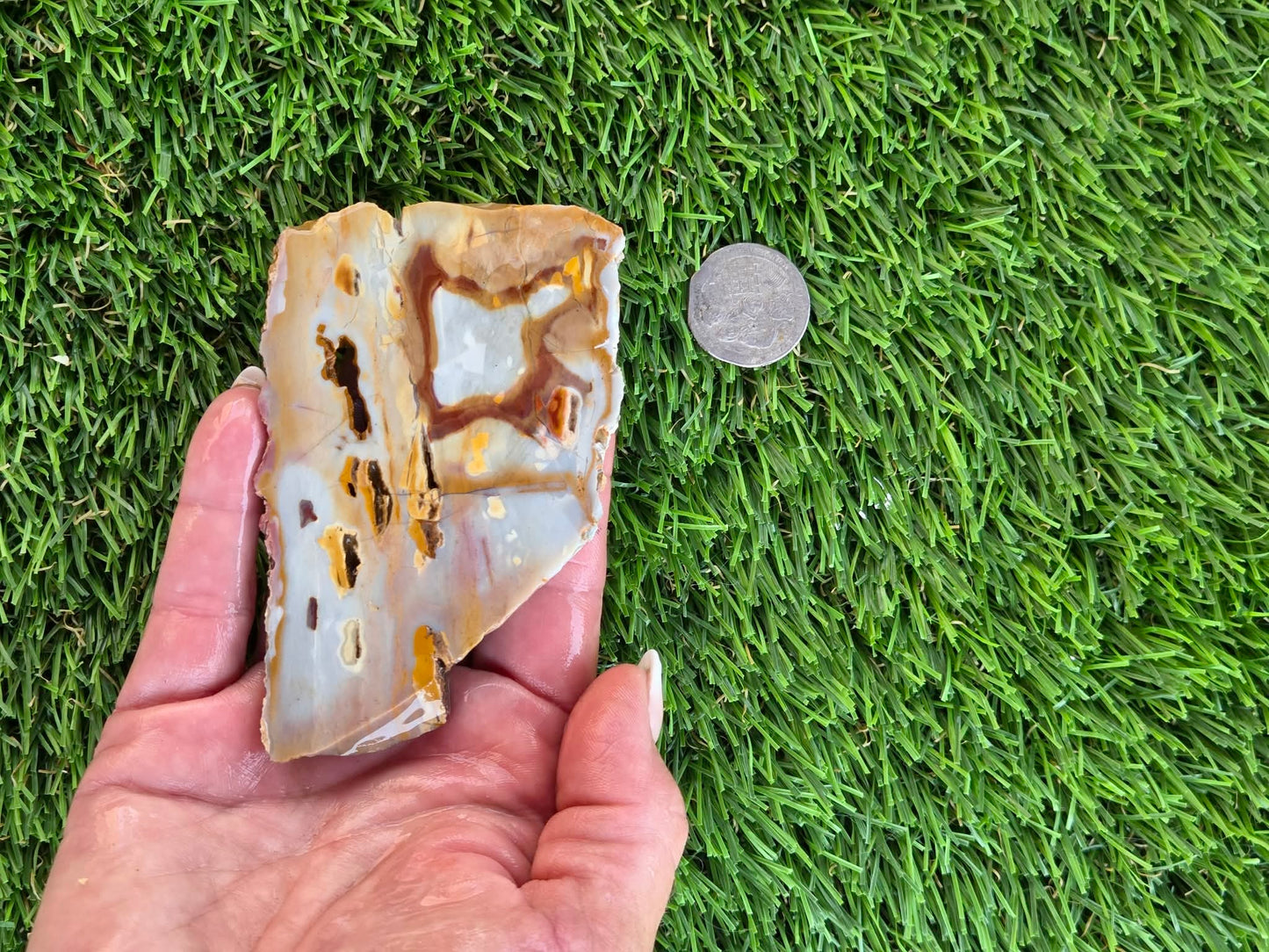 Banded Brecciated Jasper/Agate Slabs L557-562