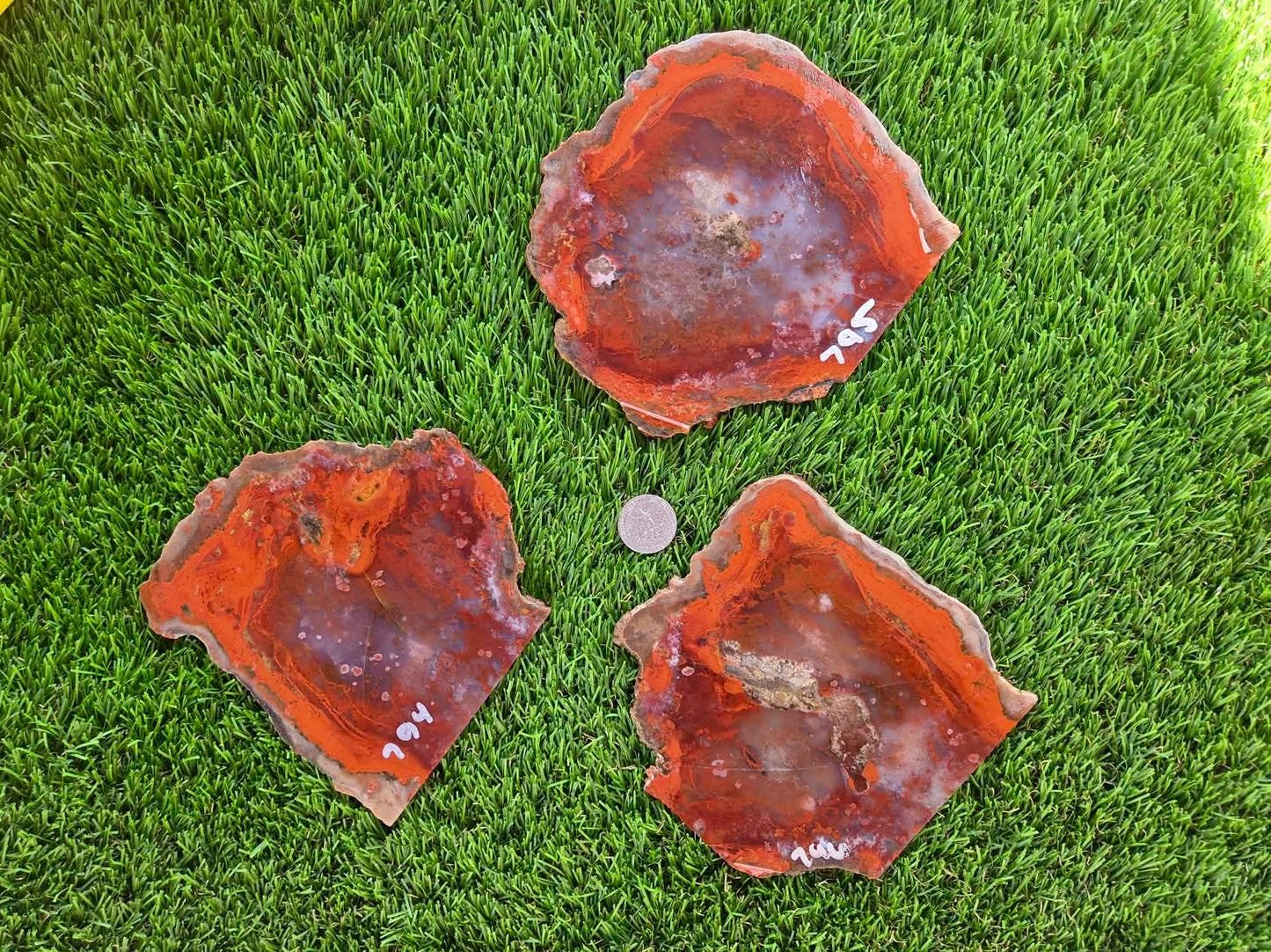 Red Carnelian Fortification Agate Slabs Q794–796