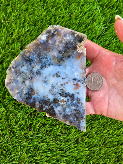 Moss Agate with Dendritic Inclusions Slabs Q797–798