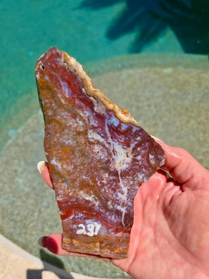 Camp Verde Agate Slab 236-239