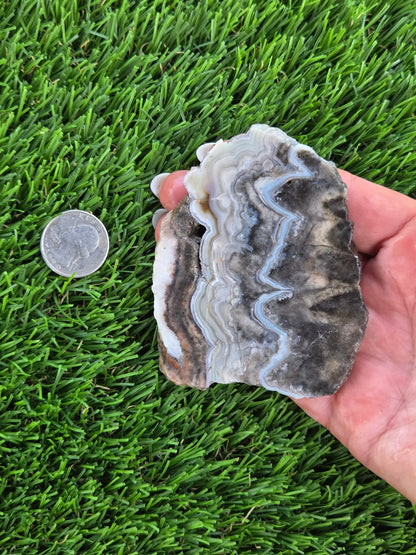 Gray Banded Crazy Lace Agate Slabs O717–723