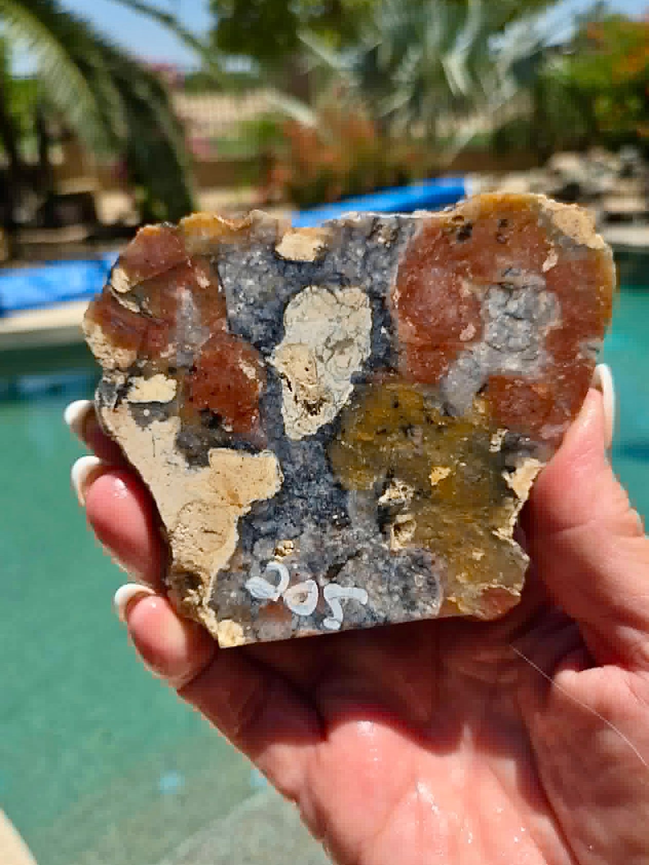 Indonesian Red Marcasite Slab 205-207