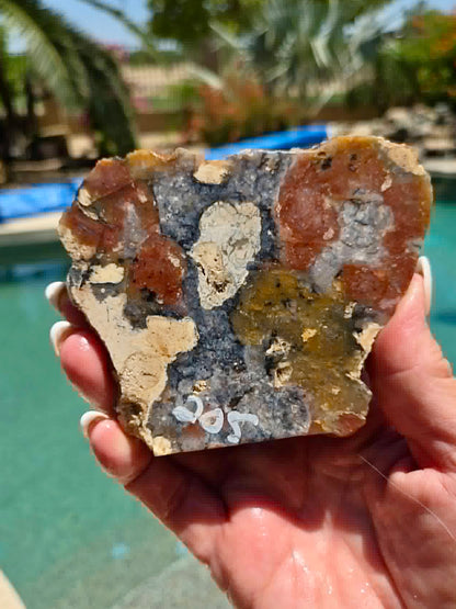 Indonesian Red Marcasite Slab 205-207