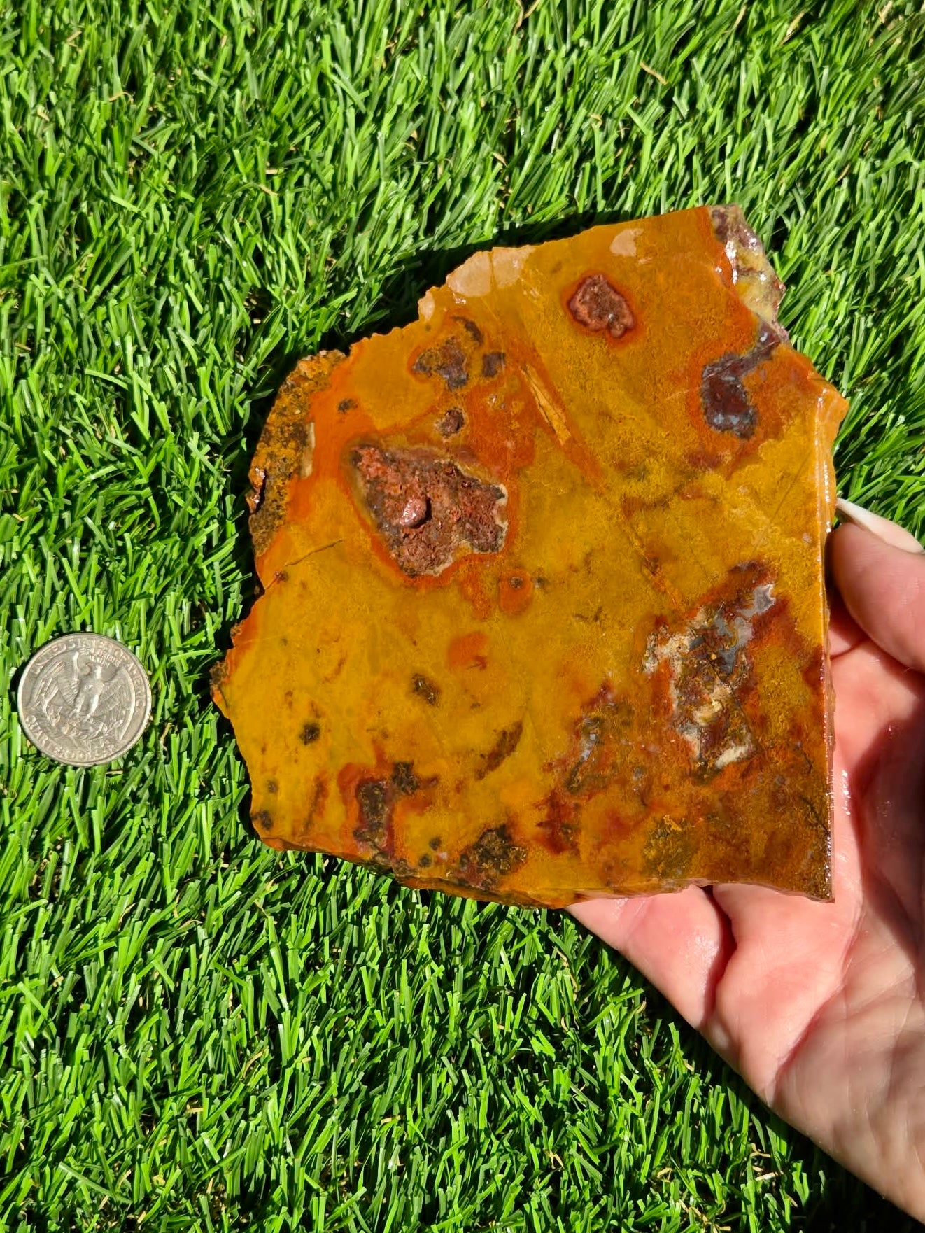 Arizona Jasper Agate Slabs J495-496