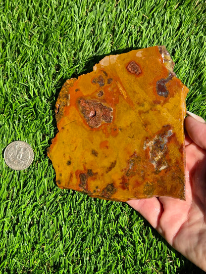 Arizona Jasper Agate Slabs J495-496