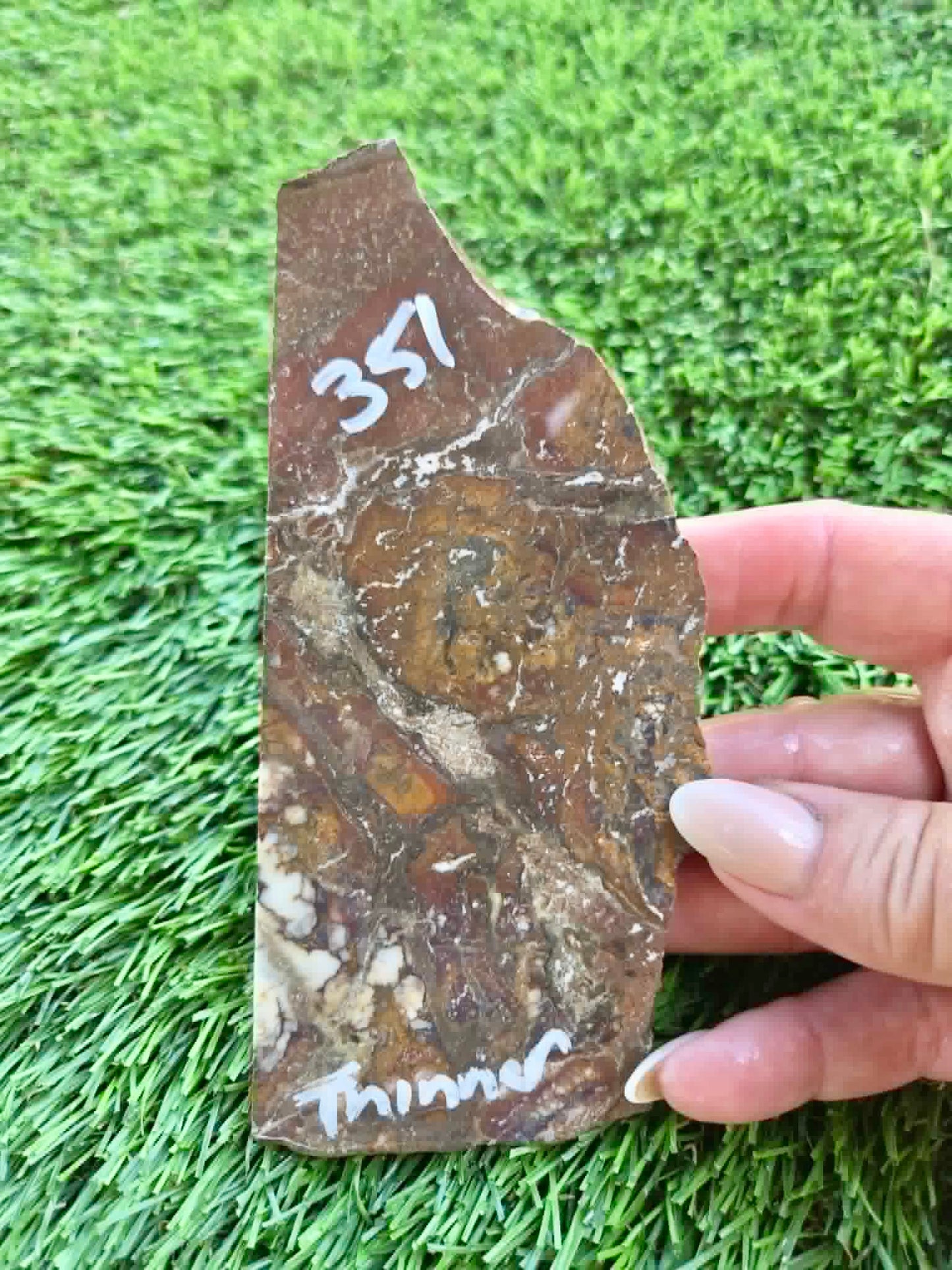 Globe Arizona Brecciated Jasper G349-353