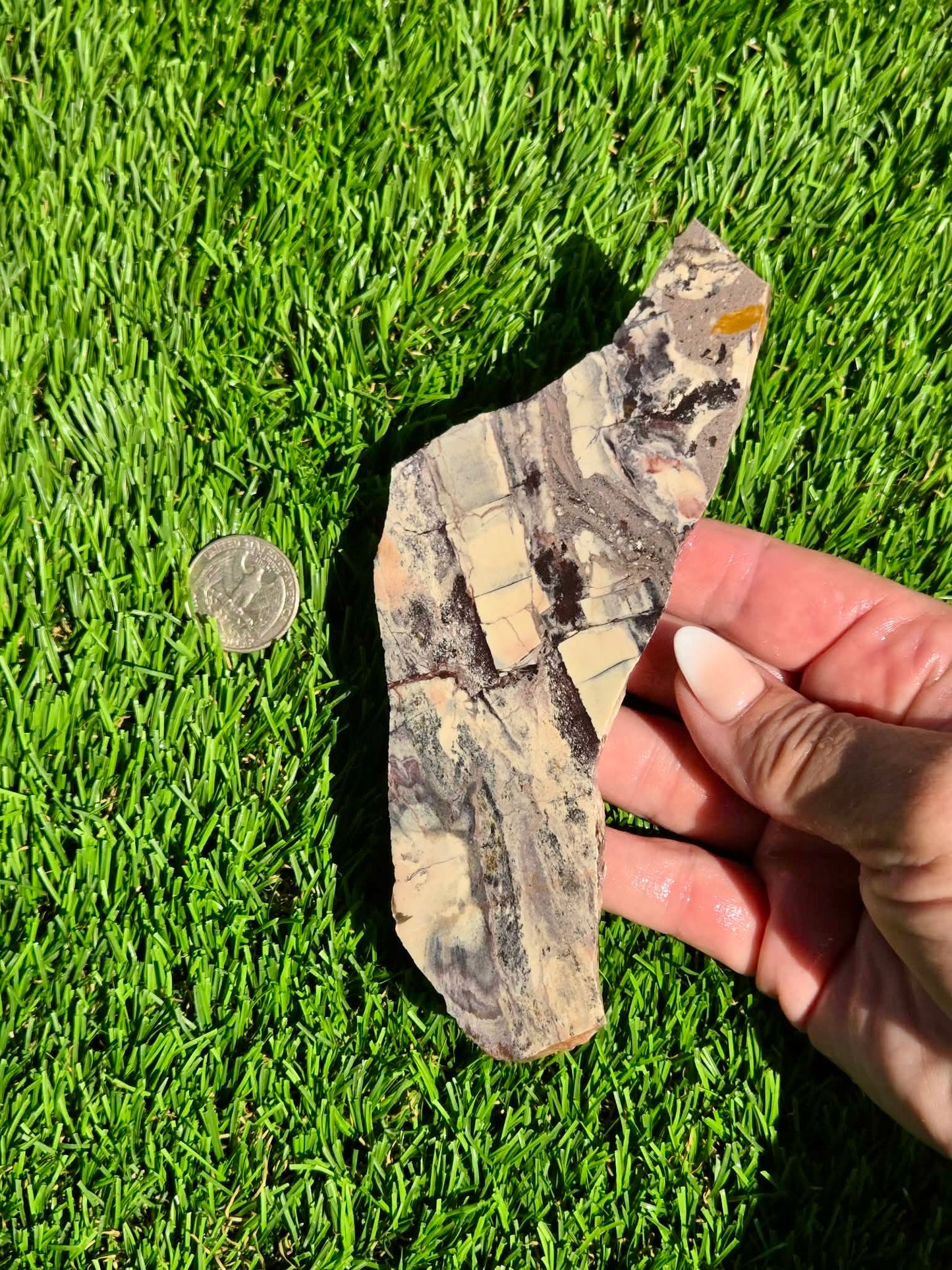 Picasso Jasper Slabs J497-502