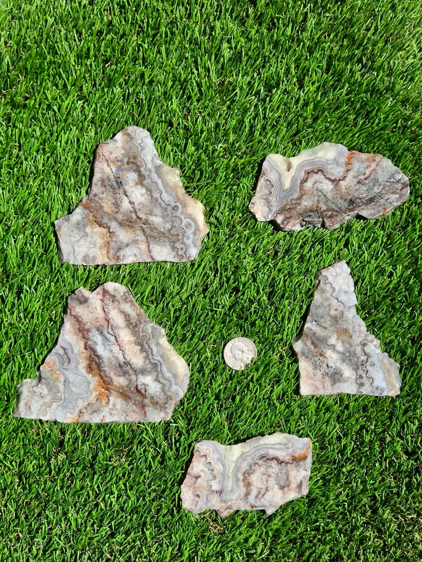 Crazy Lace Agate with Crystal Pockets Slabs O731–735