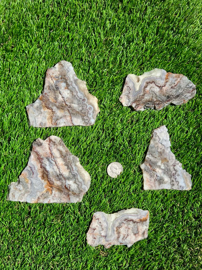 Crazy Lace Agate with Crystal Pockets Slabs O731–735
