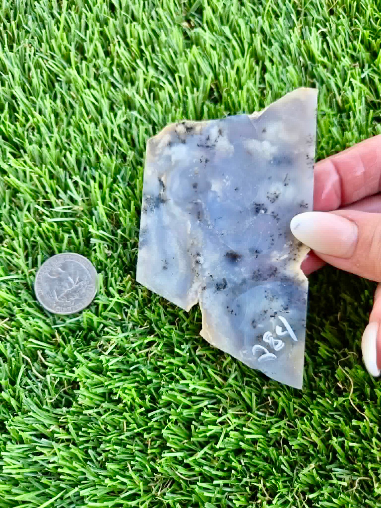 Purple Burro Creek Agate Slab F281-286