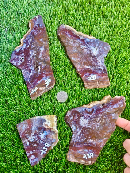 Camp Verde Agate Slab 236-239