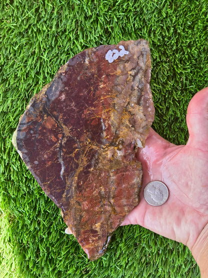 Brecciated Red Jasper Slabs Q820–823