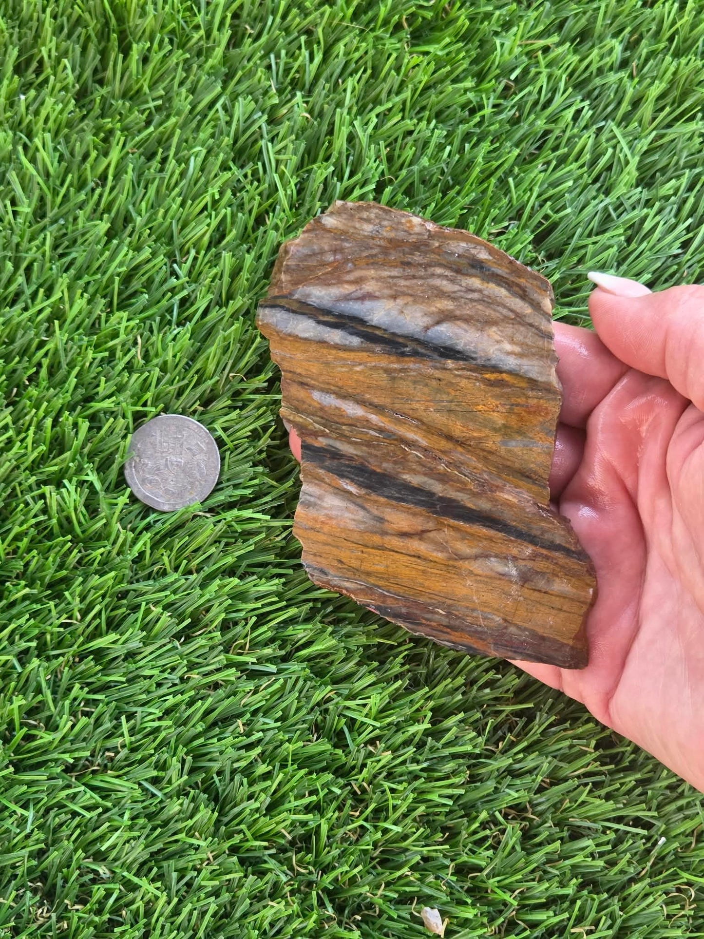 Agatized Petrified Wood Slab I453-458