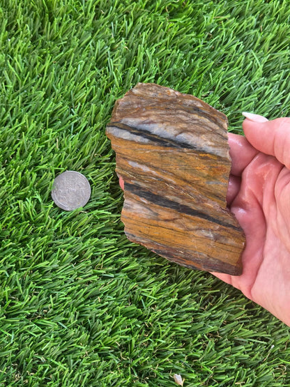 Agatized Petrified Wood Slab I453-458