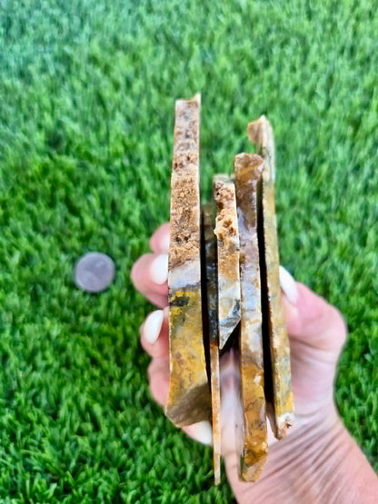 Iron-rich jasper/chalcedony with quartz Slabs F297-301