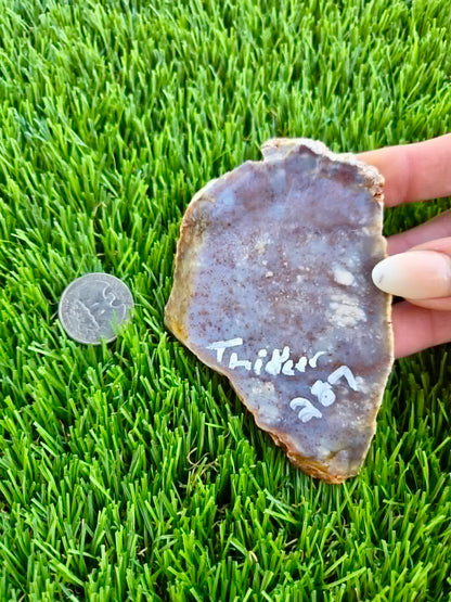 Purple Burro Creek Agate Slab F287-292