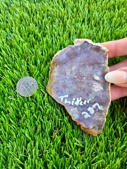 Purple Burro Creek Agate Slab F287-292