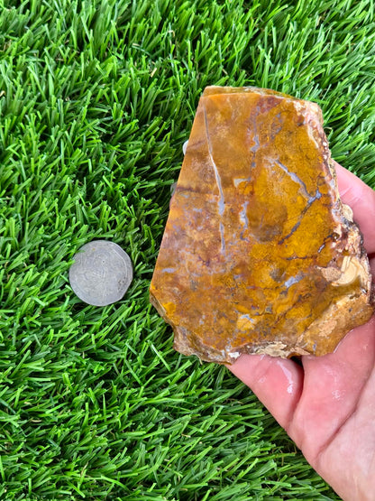 Camp Verde Moss Agate Slabs M599-601