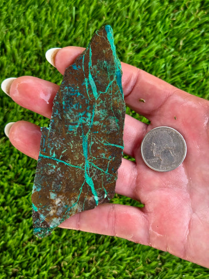 Globe Chrysocolla Spiderweb Slabs R871–878