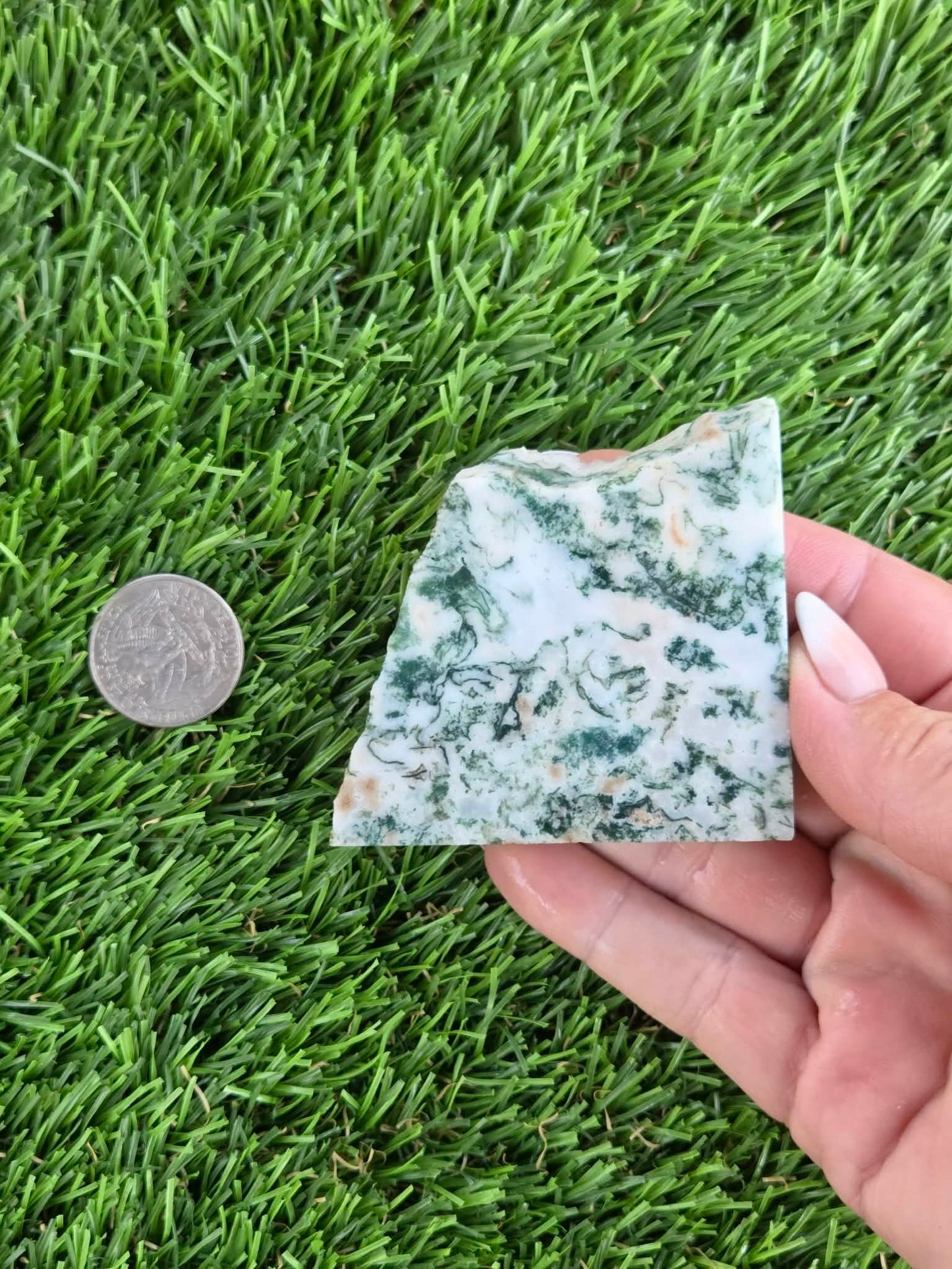 Tree Agate Slabs K523-529
