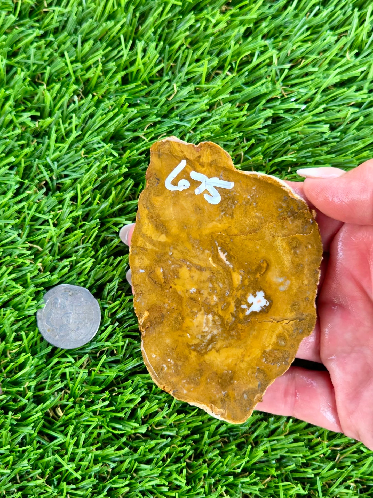 Mustard Picture Jasper Slabs N673-677